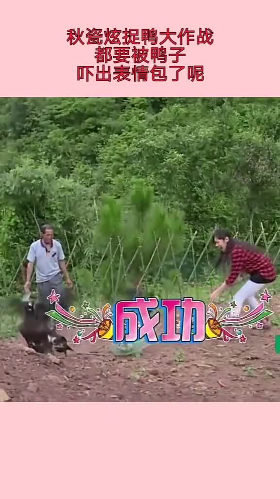 秋瓷炫捉鸭大作战,都要被鸭子吓出表情包了