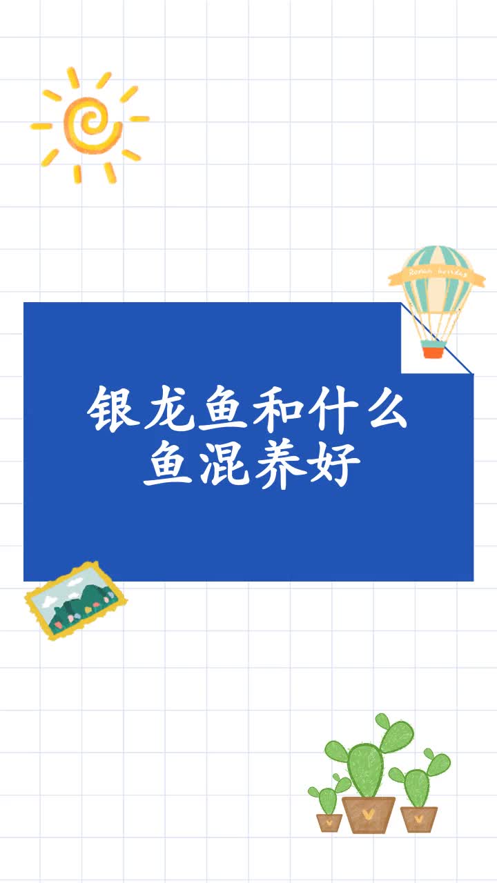 银龙鱼和什么鱼混养好