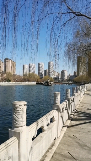 春暖花开绿柳萌发大美鲅鱼圈红海河公园是家人们娱乐健身的首选的好场所你喜欢