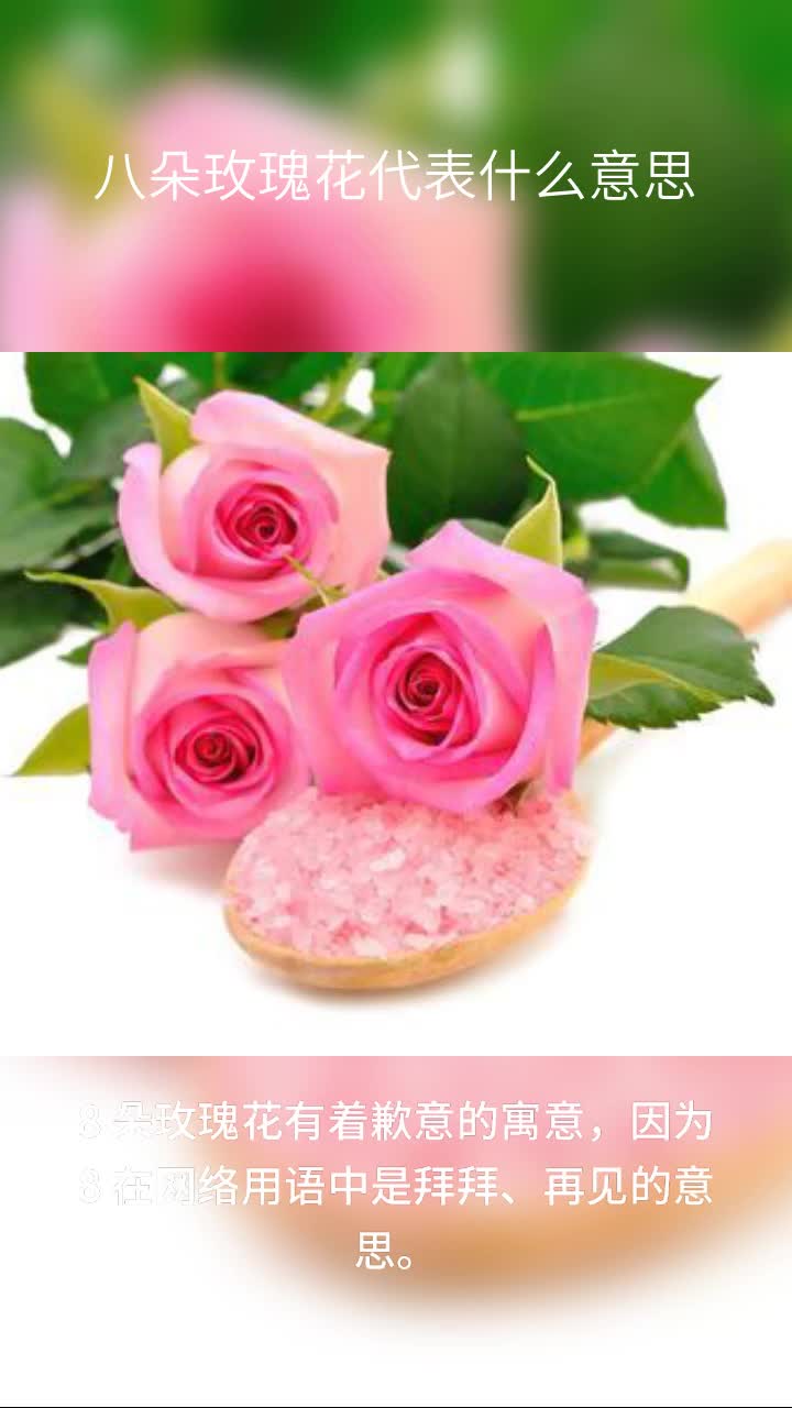 八朵玫瑰花代表什么意思