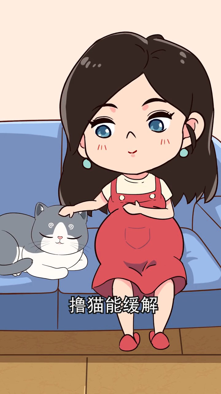 怀孕不能养猫?注意这几点完全没问题!