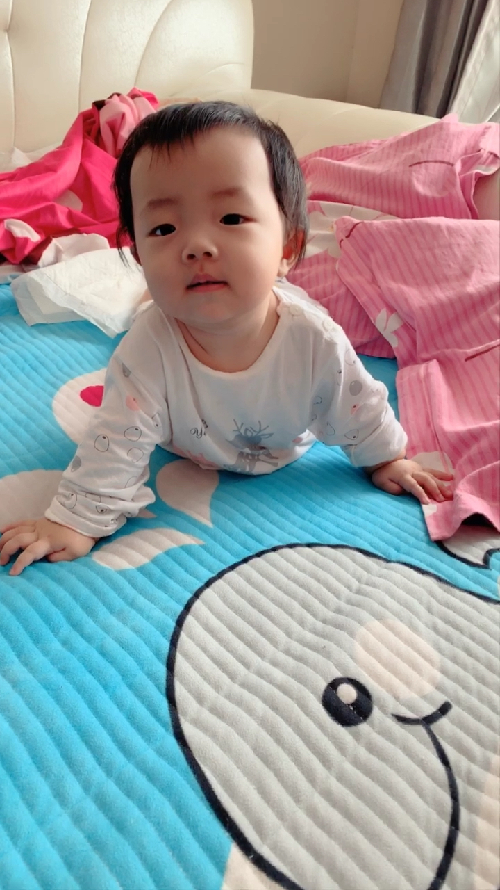 小金鱼可爱的样子
