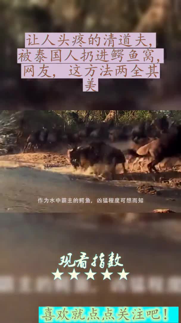 让人头疼的清道夫,被泰国人扔进鳄鱼窝,网友,这方法两全其美
