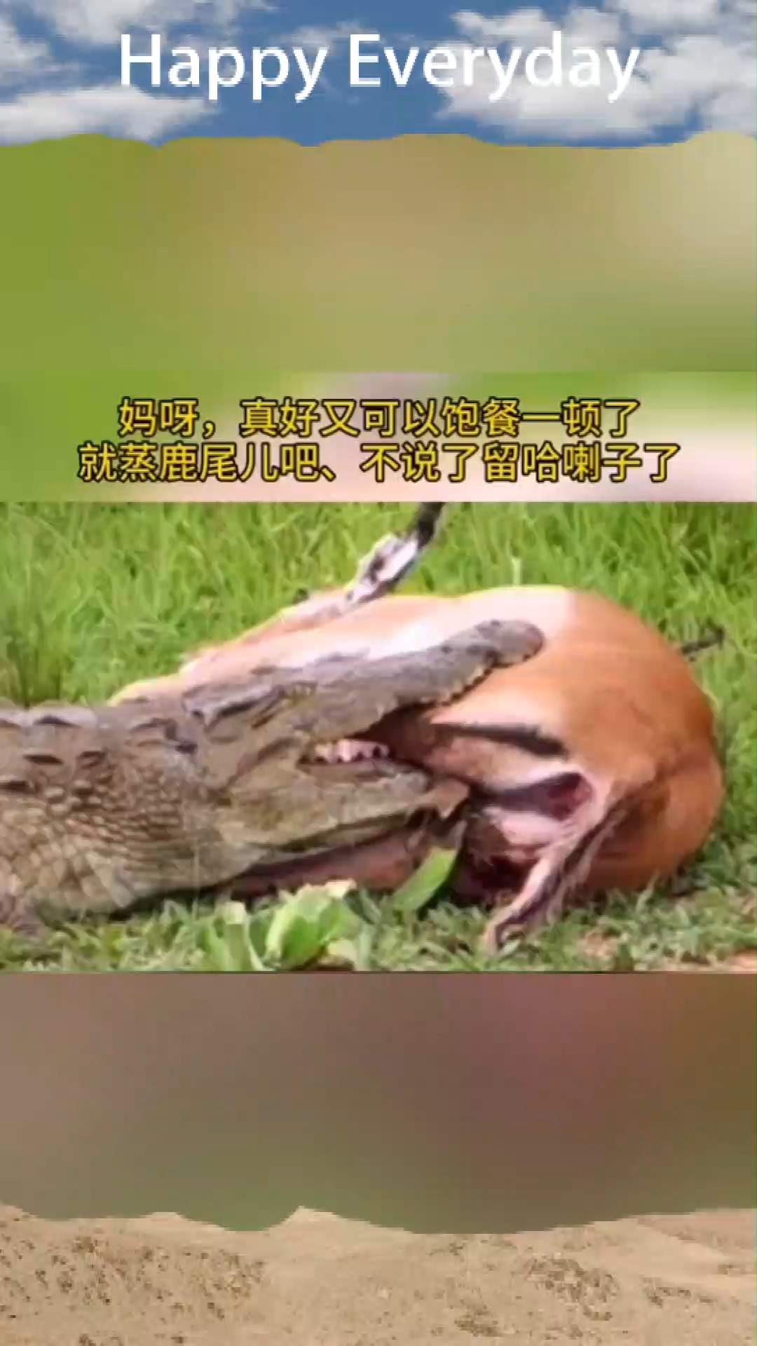 咬的挺累刚想松口气结果到嘴的肉说跑就跑
