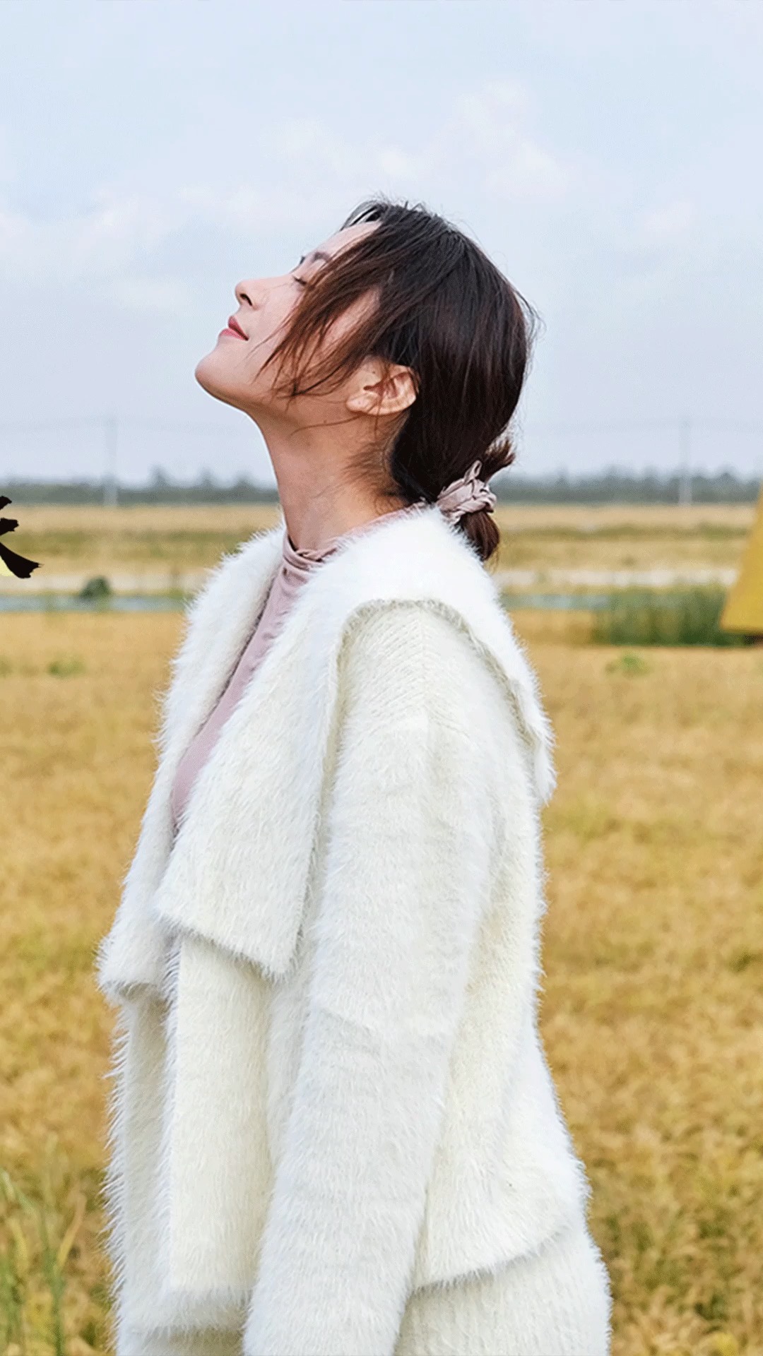 #美食#一口酥脆疯狂掉渣!带着清香味的天妇罗你吃过吗?