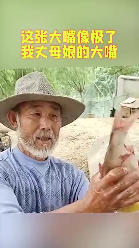 #搞笑段子#老渔民给宠物喂鱼,张开嘴巴的那一刻,像极了我丈母娘的大嘴