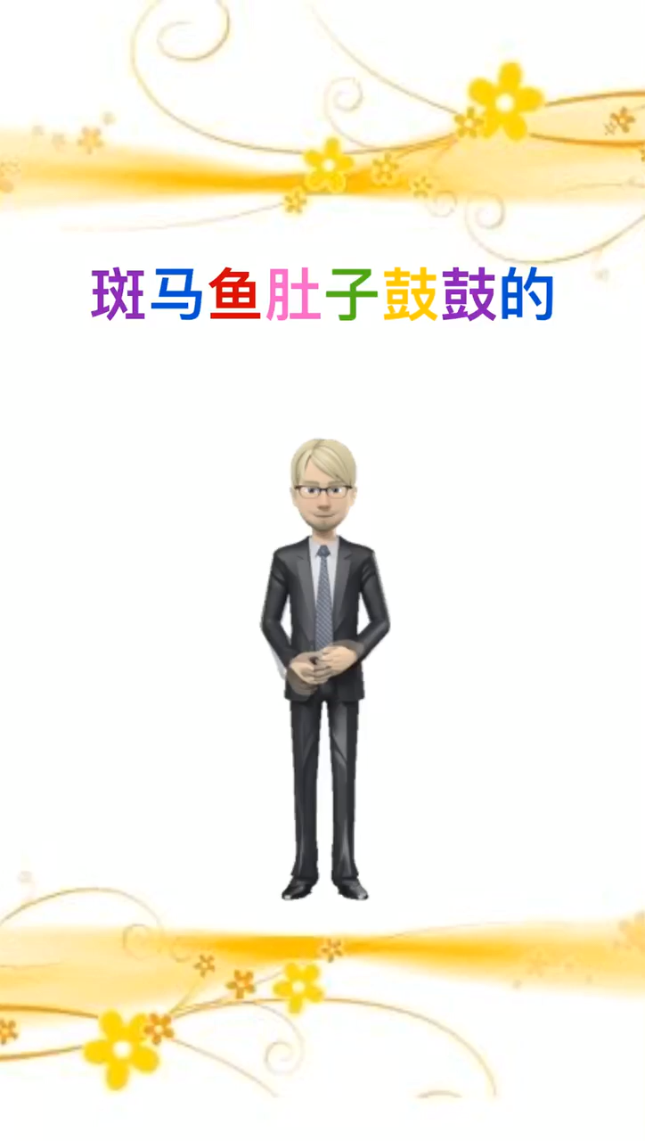 我来告诉你斑马鱼肚子鼓鼓的怎么回事