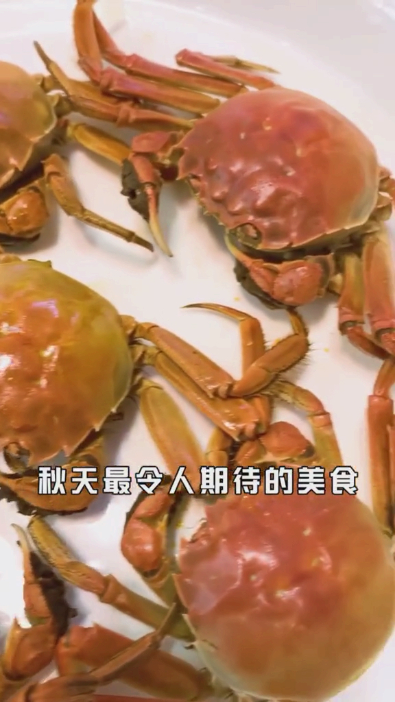 #烟台#在烟台也能吃到正宗湖北特色菜?大闸蟹、玉荷清江鱼,快来尝尝传说中的恩施味道!