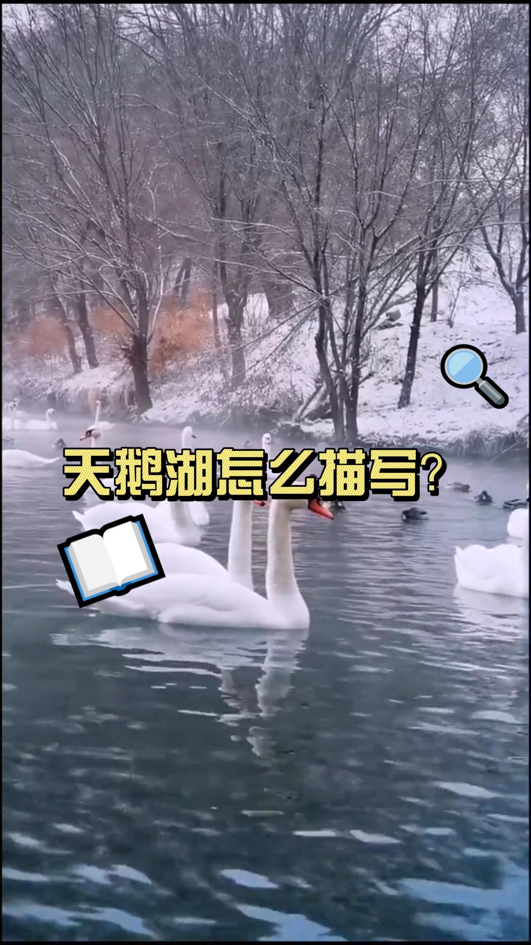 天鹅湖怎么描写