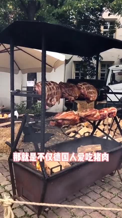 敢把猪肉当主食的国家德国的猪肉很廉价,但是蔬菜的价格太昂贵!