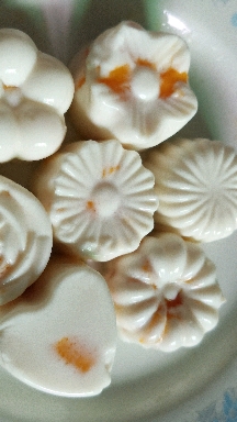 看看我做的牛奶芒果布丁