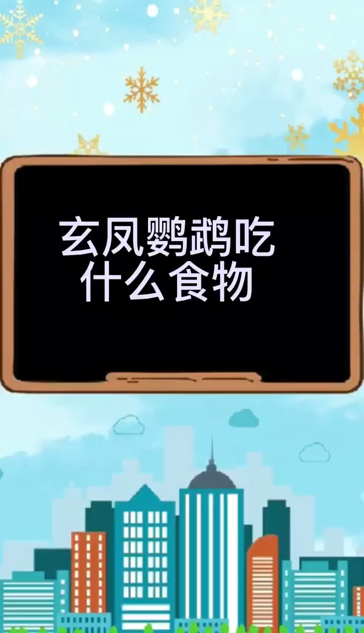 玄凤鹦鹉吃什么食物