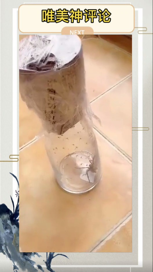 怎么办,在线等全身鸡皮疙瘩都起来了太恐怖了