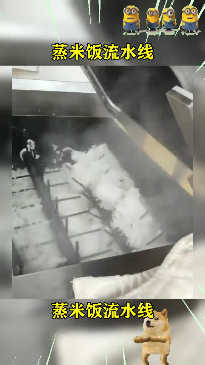 #我要上热门#蒸米饭流水线