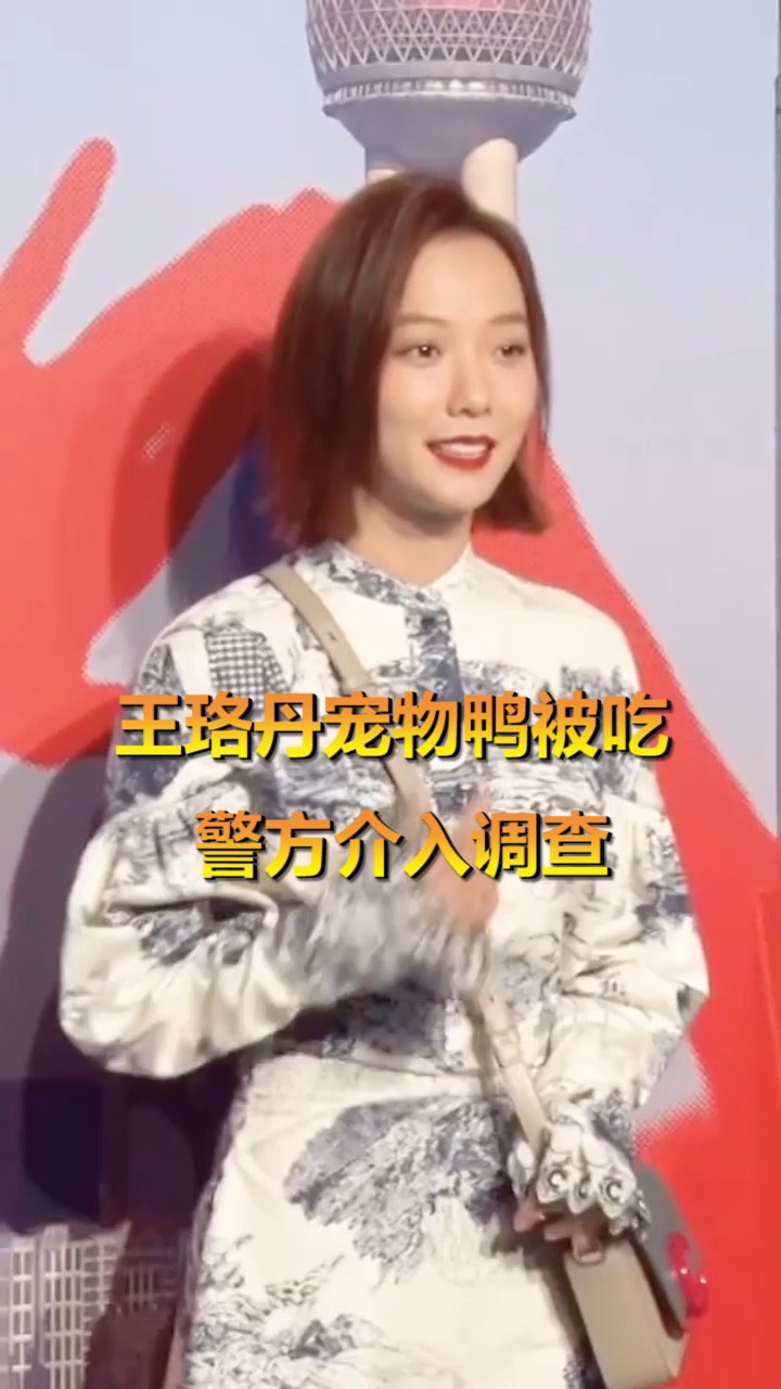 #明星娱乐#王珞丹鸭子没了,警方介入,鸭子已经熟了