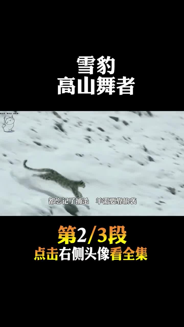 #动物世界#羱羊百米高空坠落1