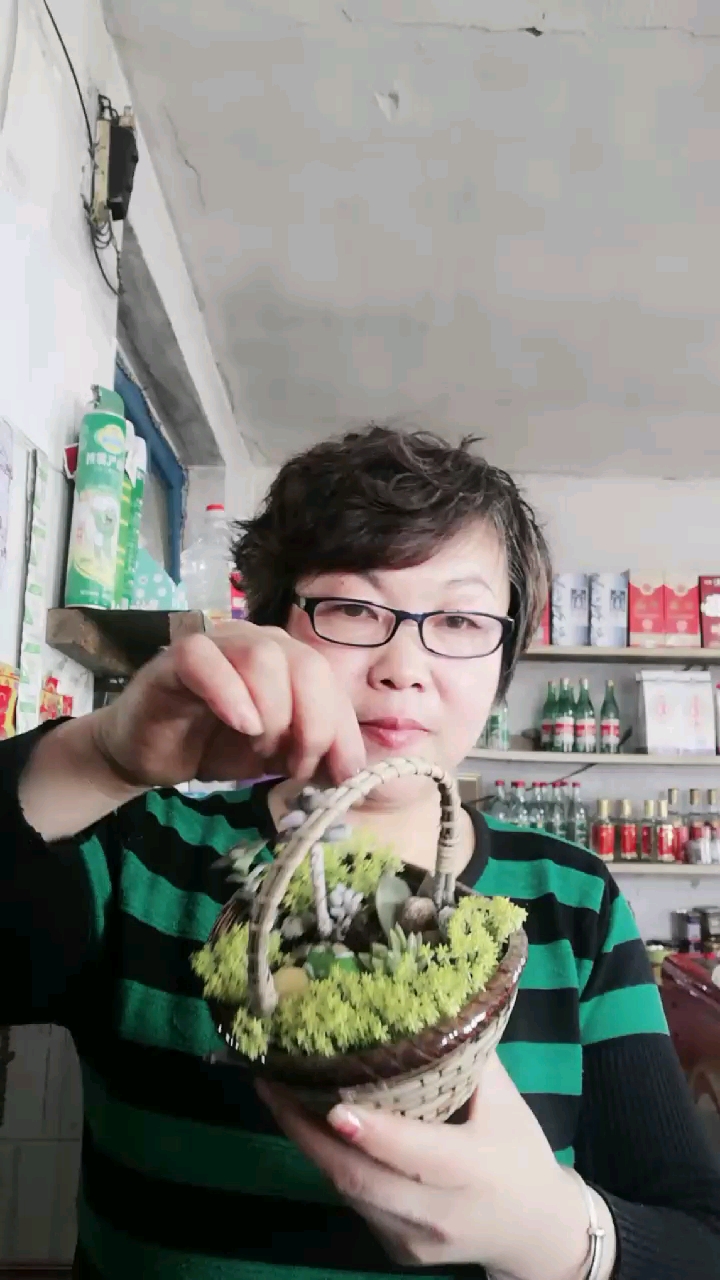 多肉拼盘