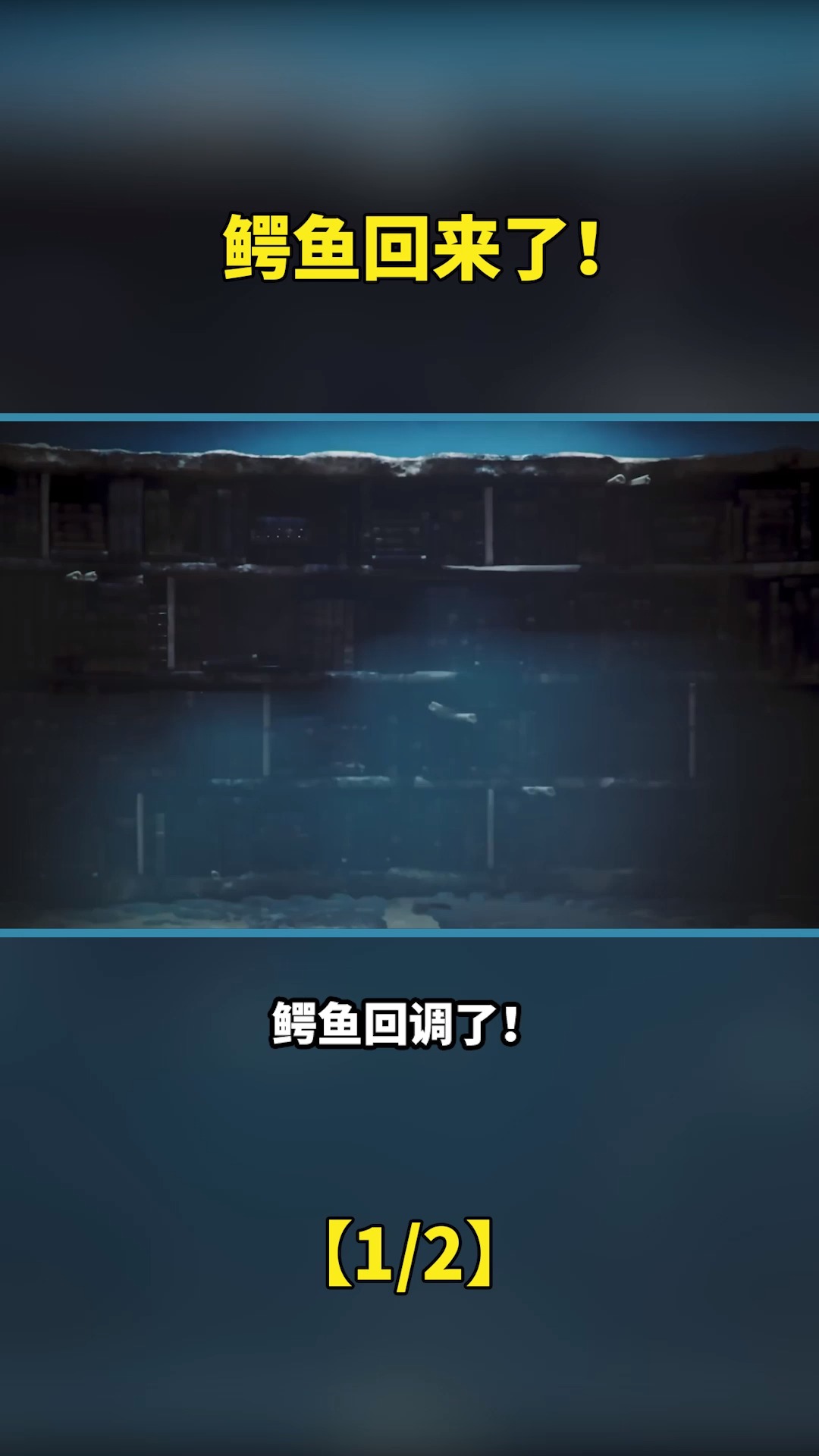 英雄联盟:鳄鱼回调,猫咪削弱,普天同庆