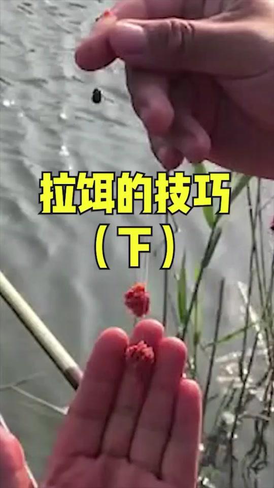 每天持续更新钓鱼技巧接上个视频 拉饵技巧完整了 钓鱼人必看#钓鱼