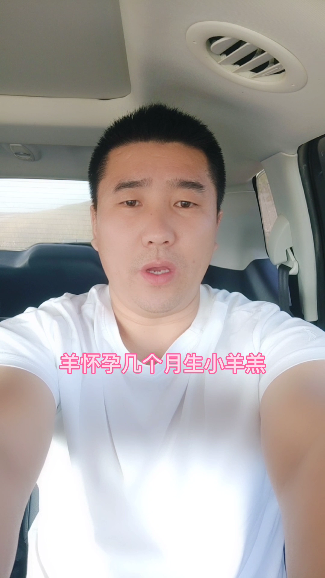 羊怀孕几个月生小羊羔 