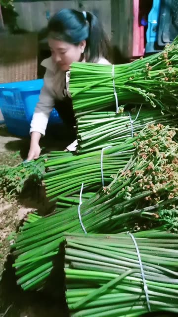 我家干蕨菜就是这样制作的