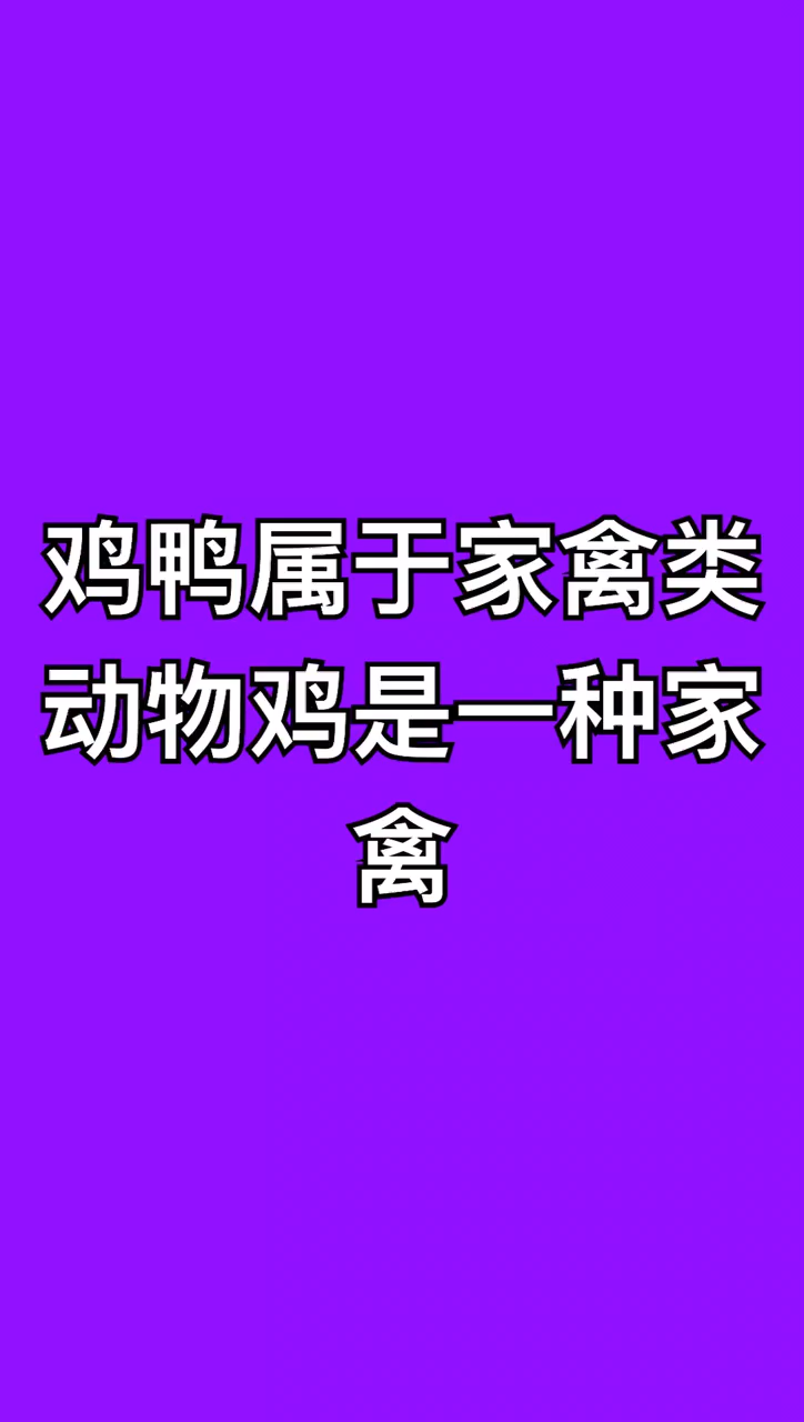 鸡鸭属于什么类动物