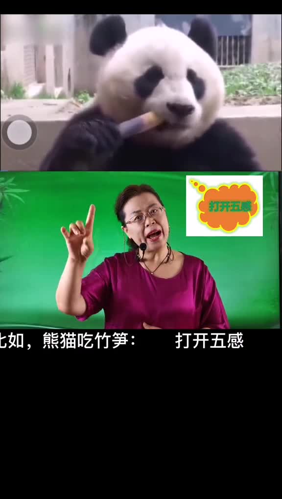 第二集动作描写方法!学浪计划小学作文