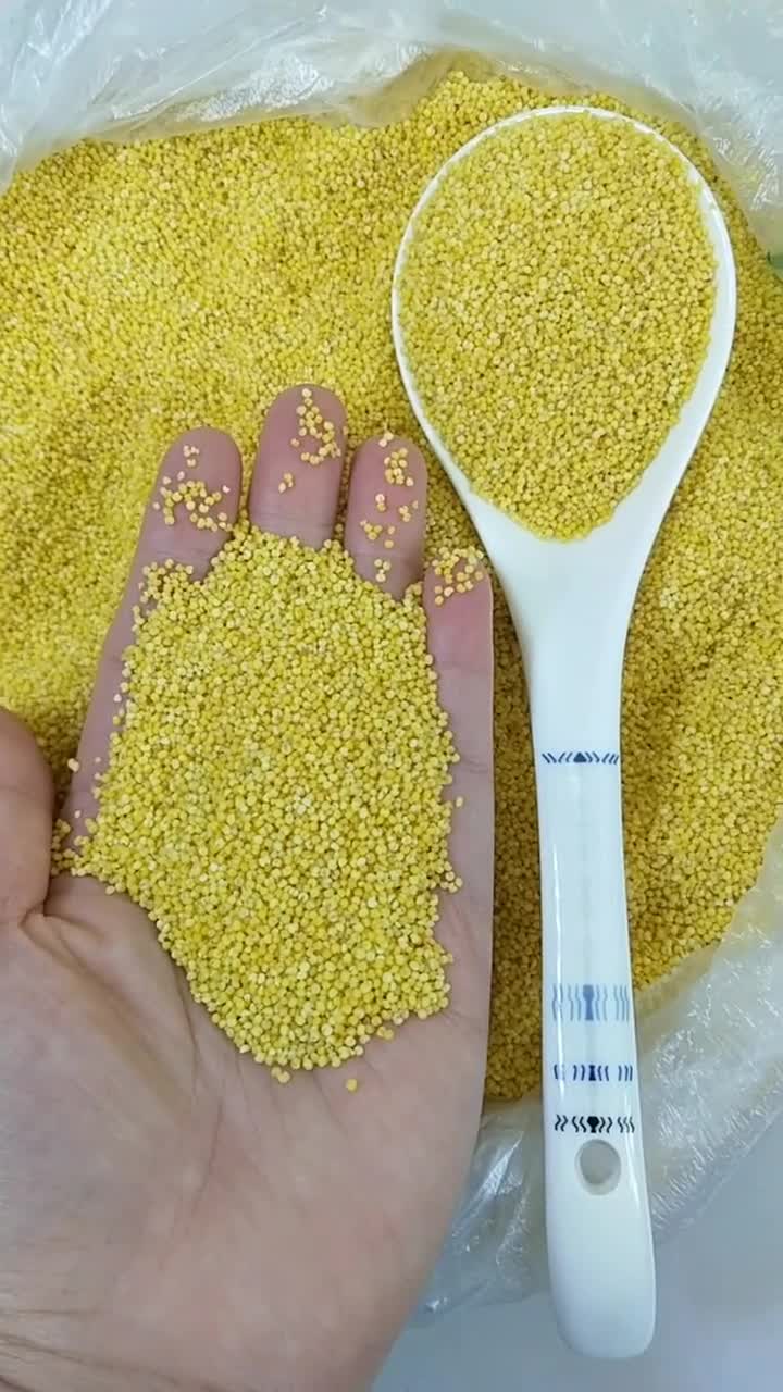 小米粥这样来熬,营养美味浓稠香甜超好喝