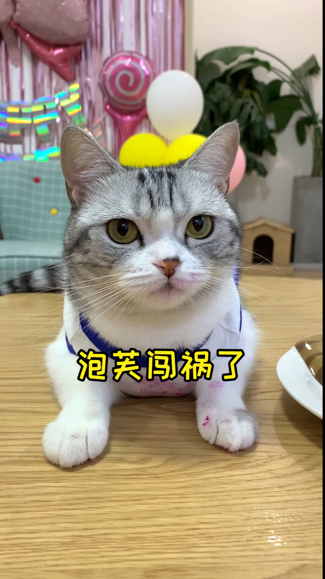 #我家萌宠成精了#今天是爱吃火龙果的芙芙～