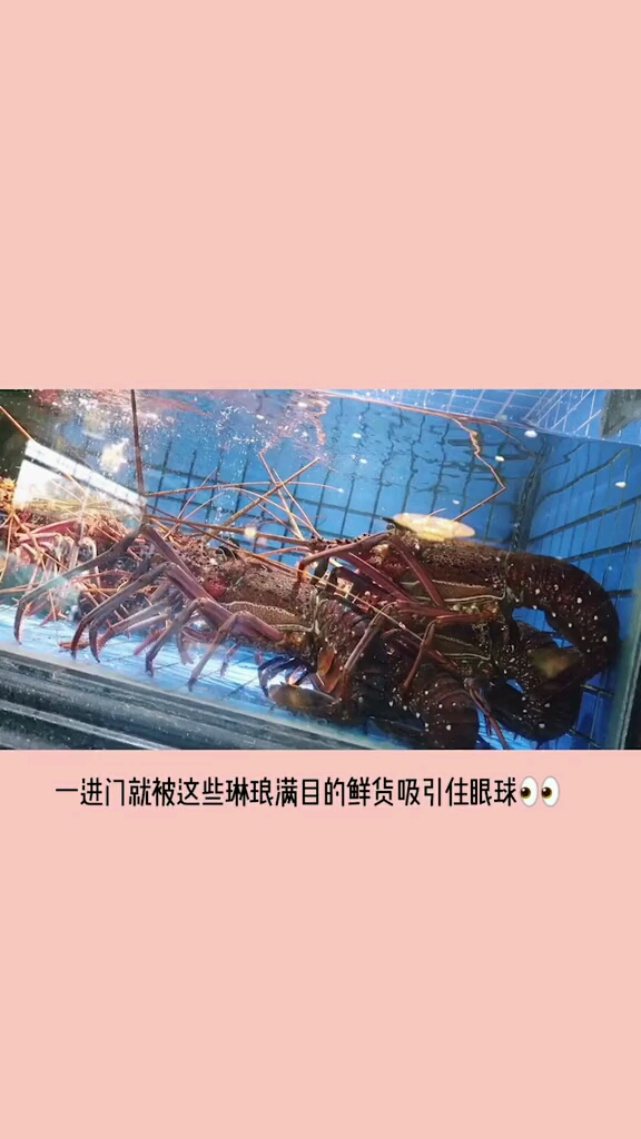 家庭聚会最适合吃的蒸汽海鲜!
