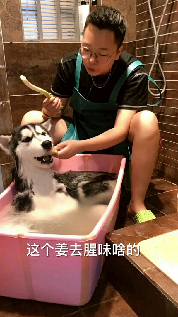 狗肉汤的做法