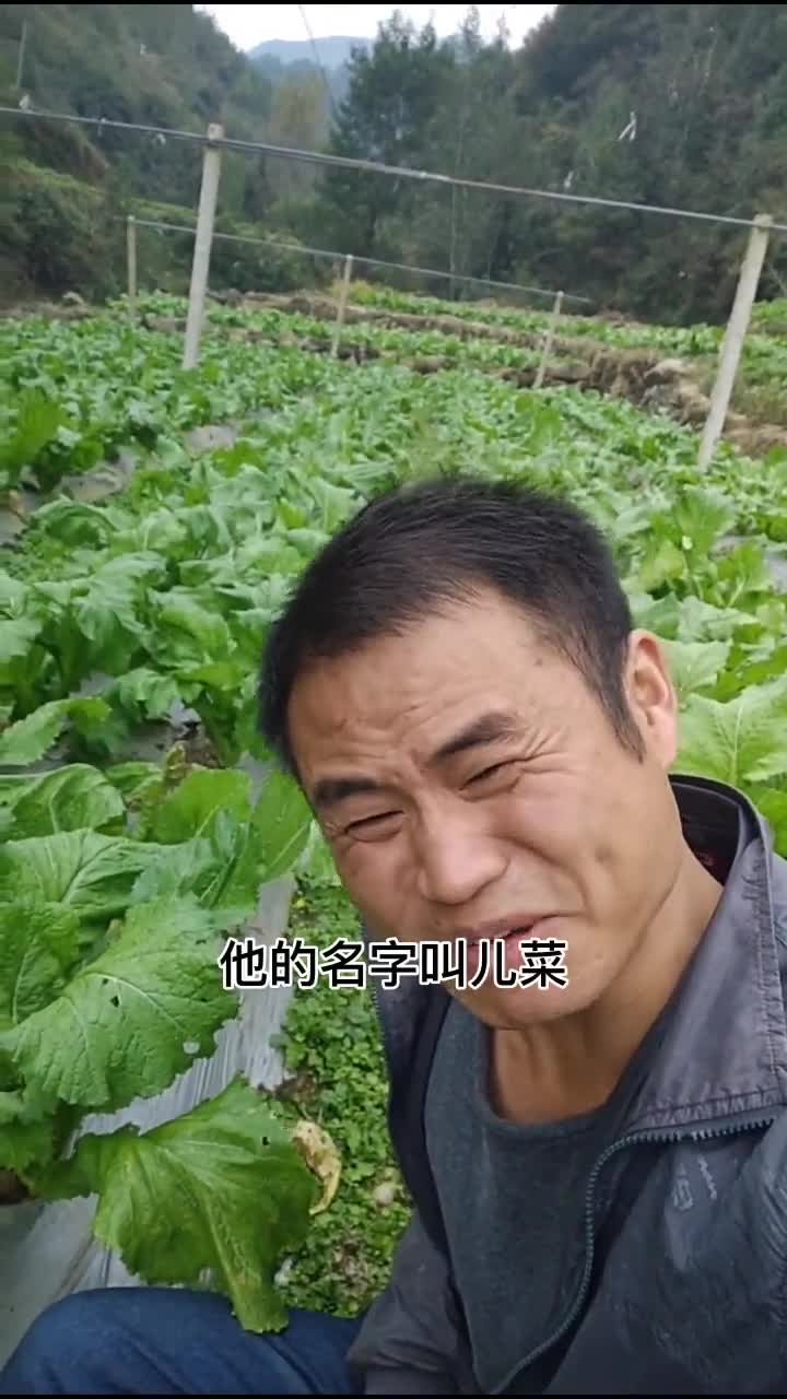 四川的菜名稀奇古怪,你听过最搞笑的菜名是什么