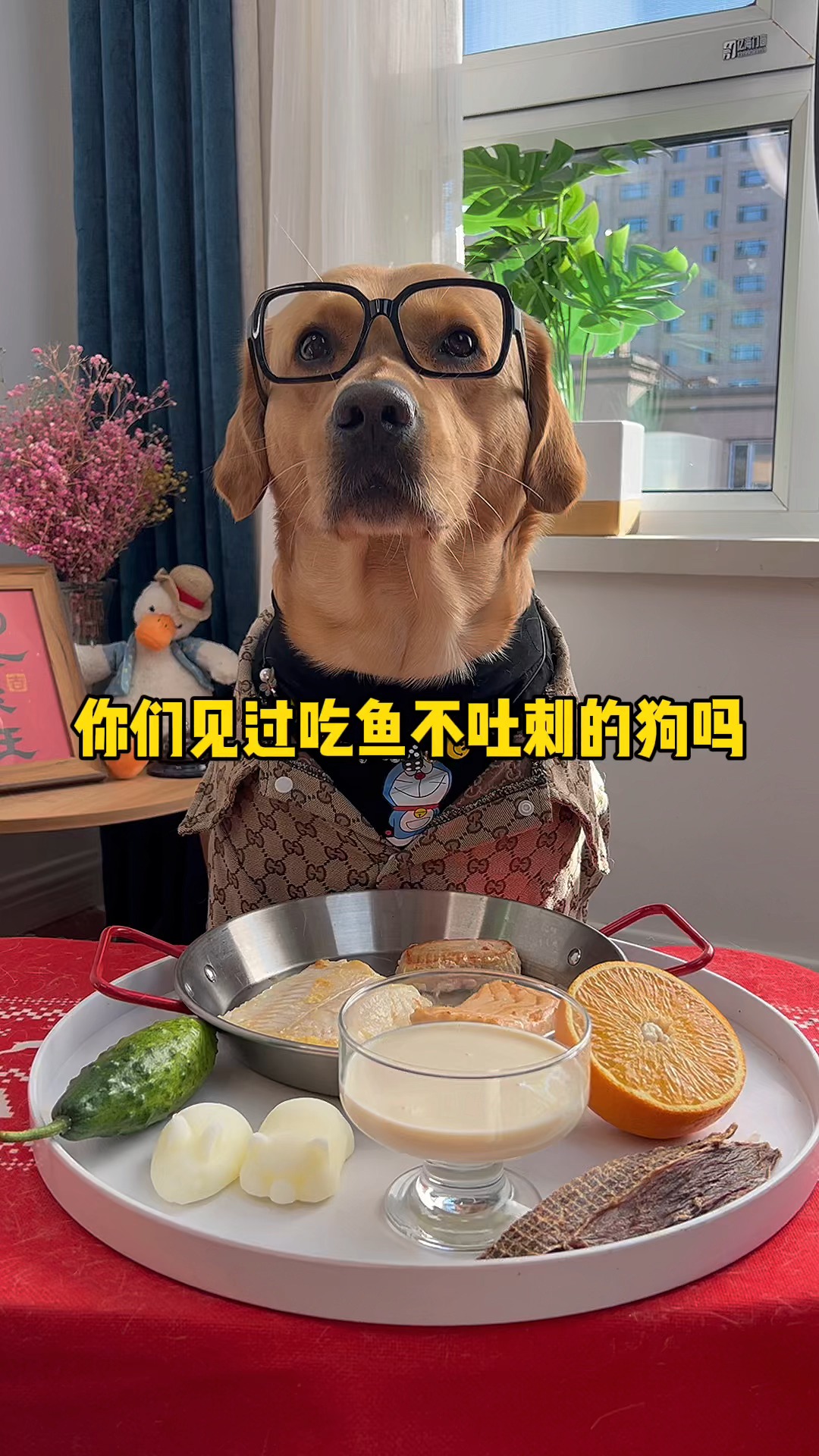 #每日萌宠#你们见过吃鱼不吐刺的狗吗