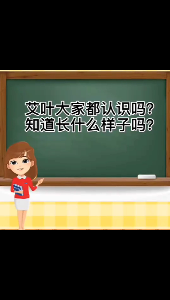 艾叶简笔画   