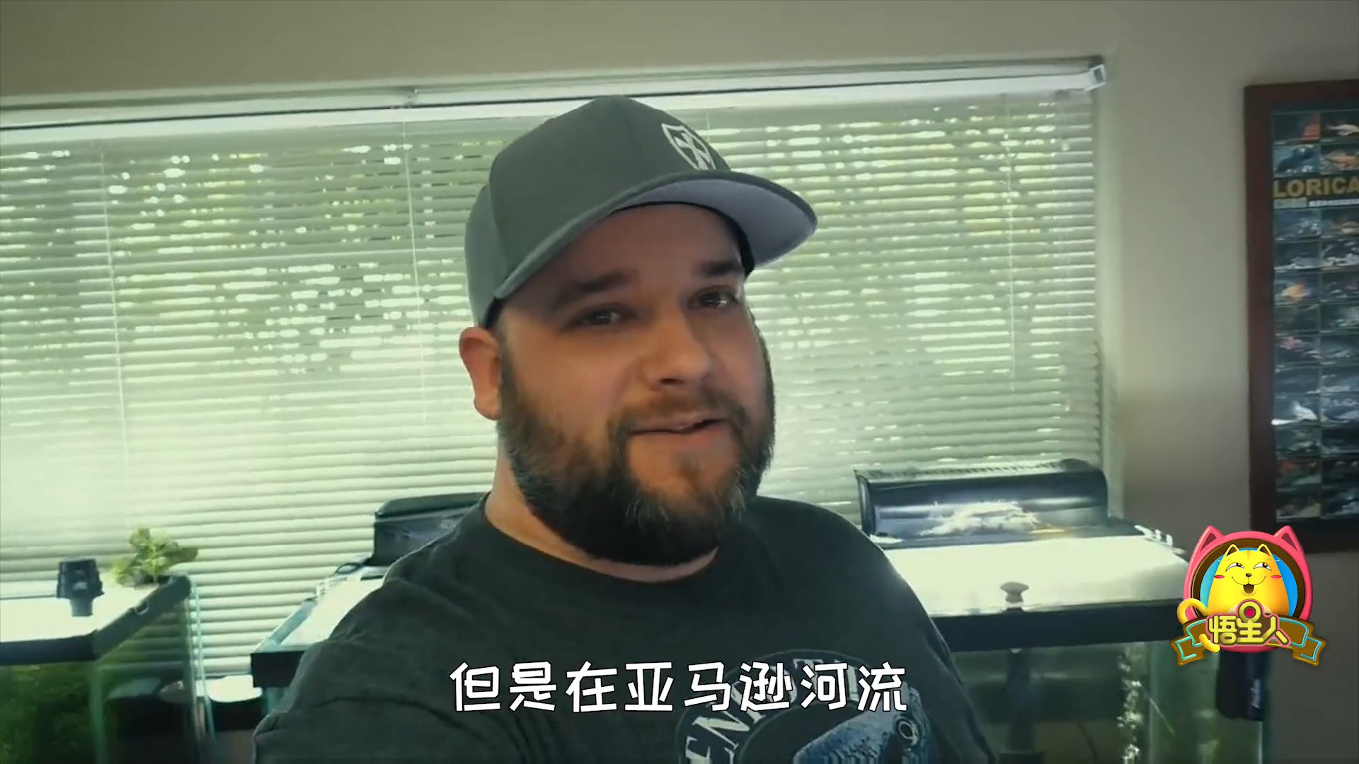 #娱乐#世界最“奇特”的鱼,不仅头部结构奇怪,食物还是以木材为主!