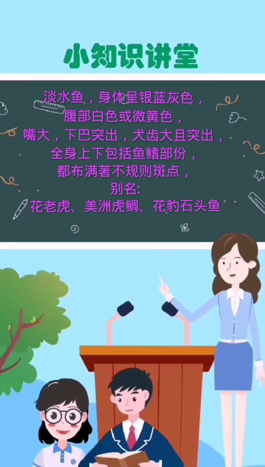 花斑鱼是海水鱼还是淡水鱼