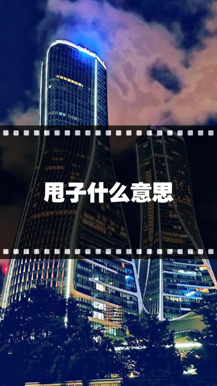 甩子什么意思