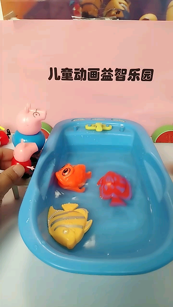一天到晚游泳的鱼