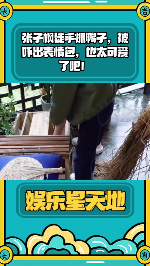 #明星综艺#张子枫徒手抓鸭子,被吓出表情包,也太可爱了吧!