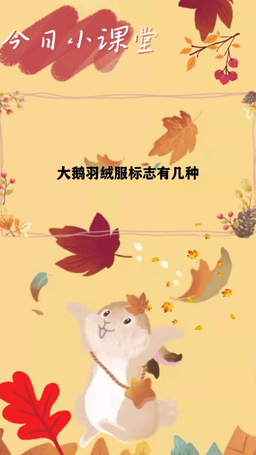 大鹅羽绒服标志有几种