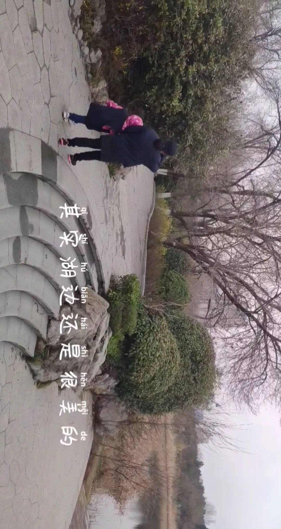 #我和春天有个约会#探秘森林公园,跟随JY一起看一看身边的园林艺术,鸳鸯鸭个头挺大