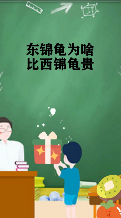 东锦龟为啥比西锦龟贵