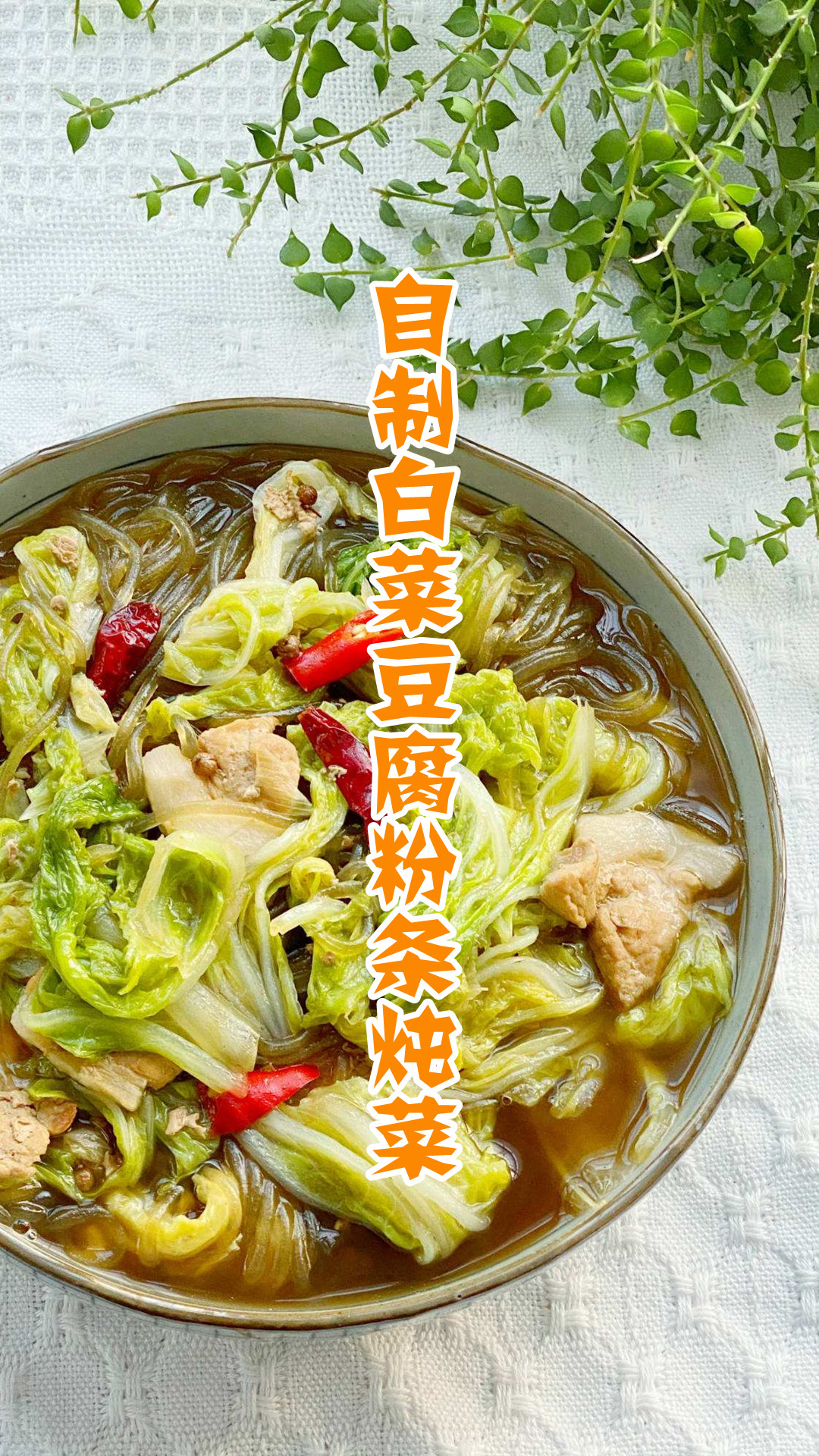 自制白菜豆腐粉条炖菜