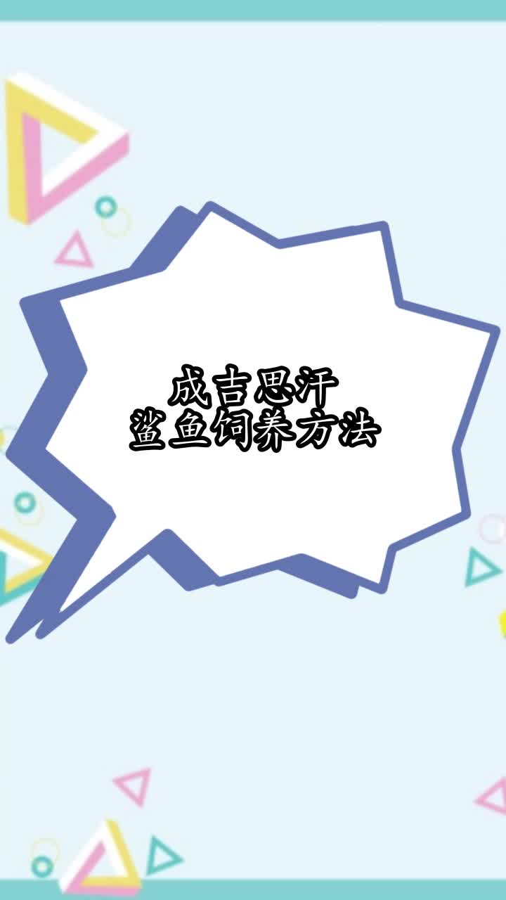 成吉思汗鲨鱼饲养方法,你学会了吗