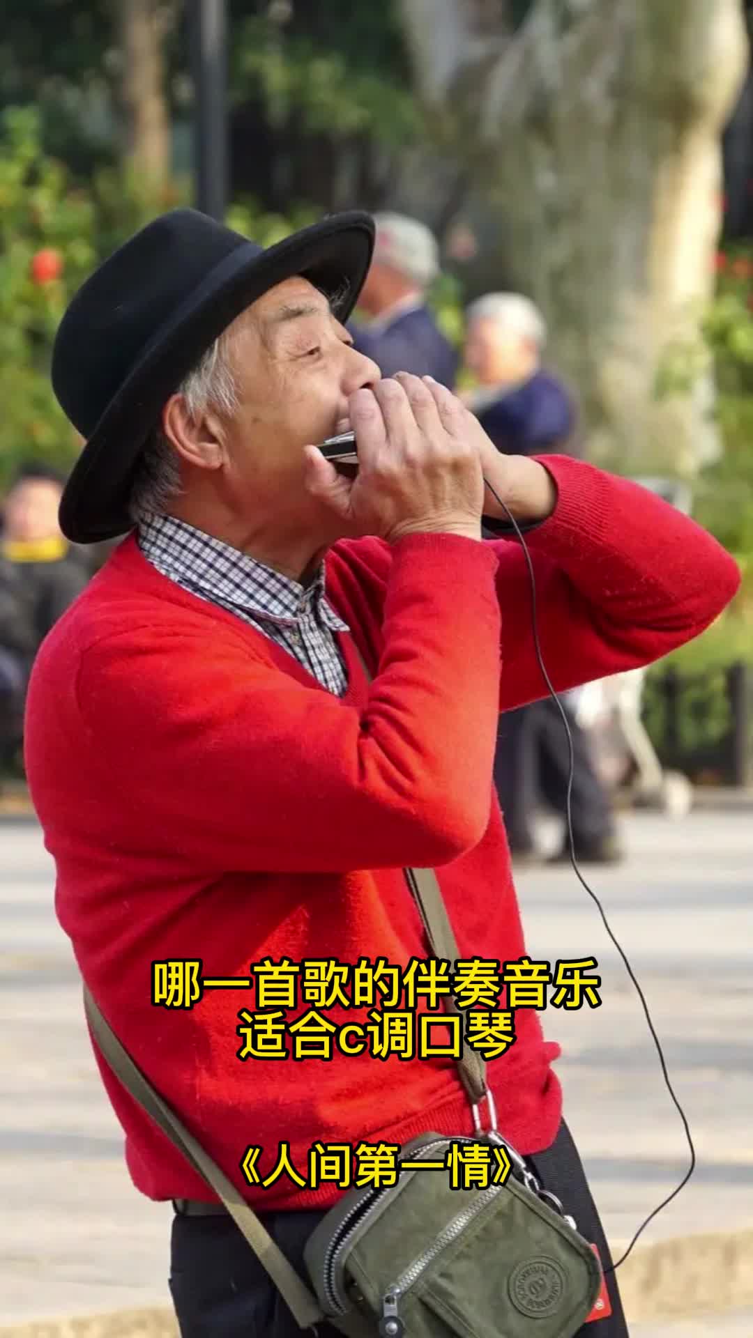 适合c调口琴伴奏音乐《人间第一情》,一起欣赏吧
