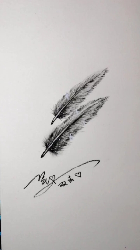 #手绘教程#鸡毛?