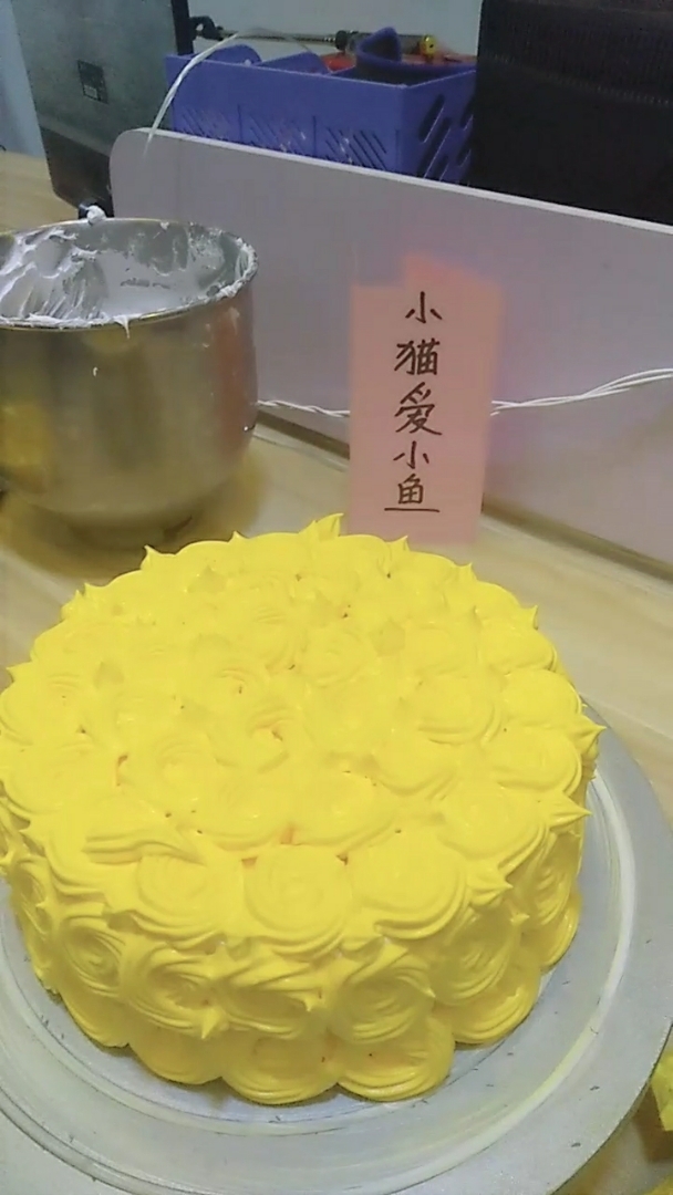 小猫爱小鱼