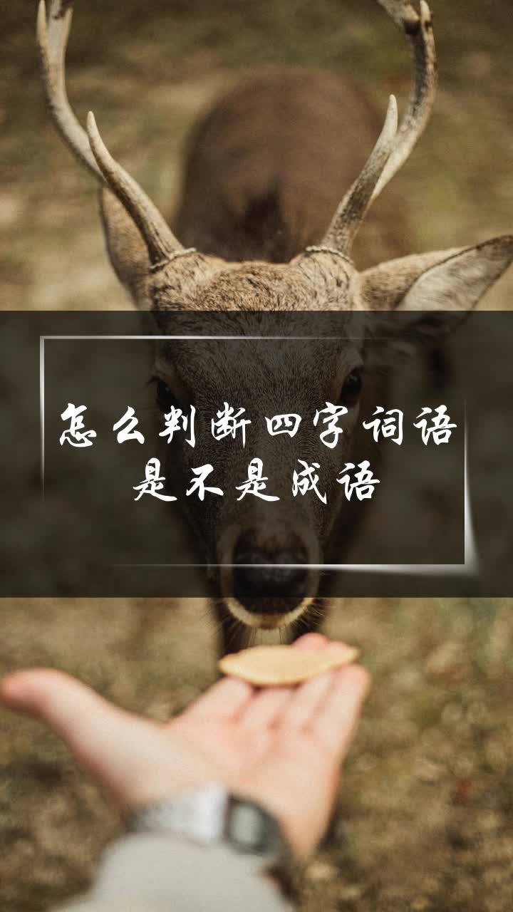 怎么判断四字词语是不是成语