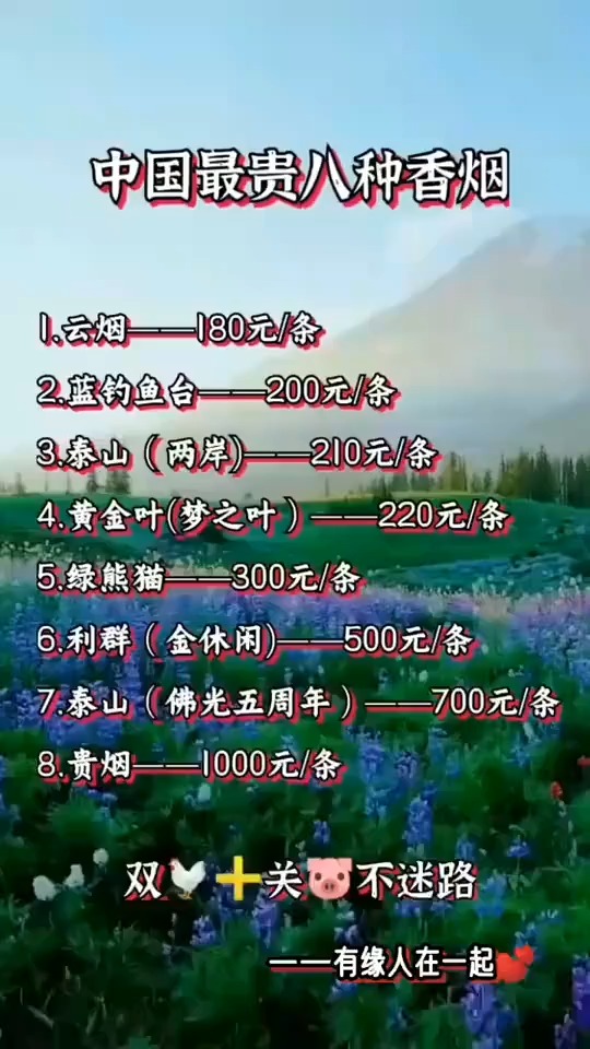 好好看看,人生的路不好走,你悟到了吗