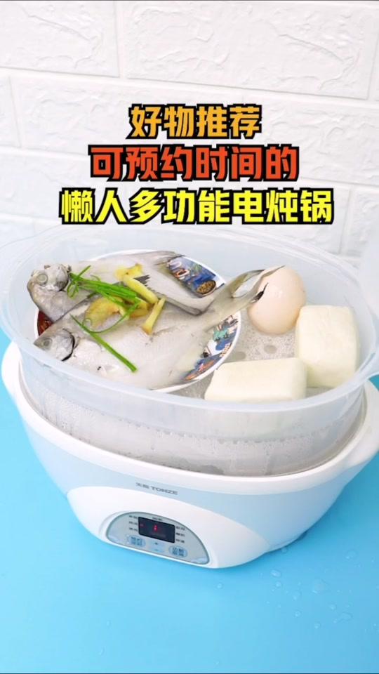 越看越喜欢这个电炖锅 上蒸下炖 又省时间和空间  而且炖出来的汤真香#了不起的生活好物